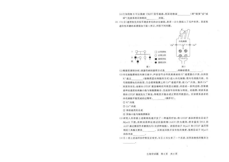 T8联考2026届高三年级12月检测训练生物(湖北)_2024-2026高三（6-6月题库）_2025年12月高三试卷_2512252026届高三第一次学业质量评价联考（T8八省联考）（全科）_选科[湖北专版]（全）