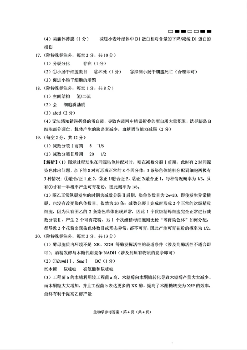 重庆市巴蜀中学2025届高考适应性月考卷（一）生物+答案_2024-2025高三（6-6月题库）_2024年09月试卷_0922重庆市巴蜀中学2024-2025学年高考适应性月考卷（一）