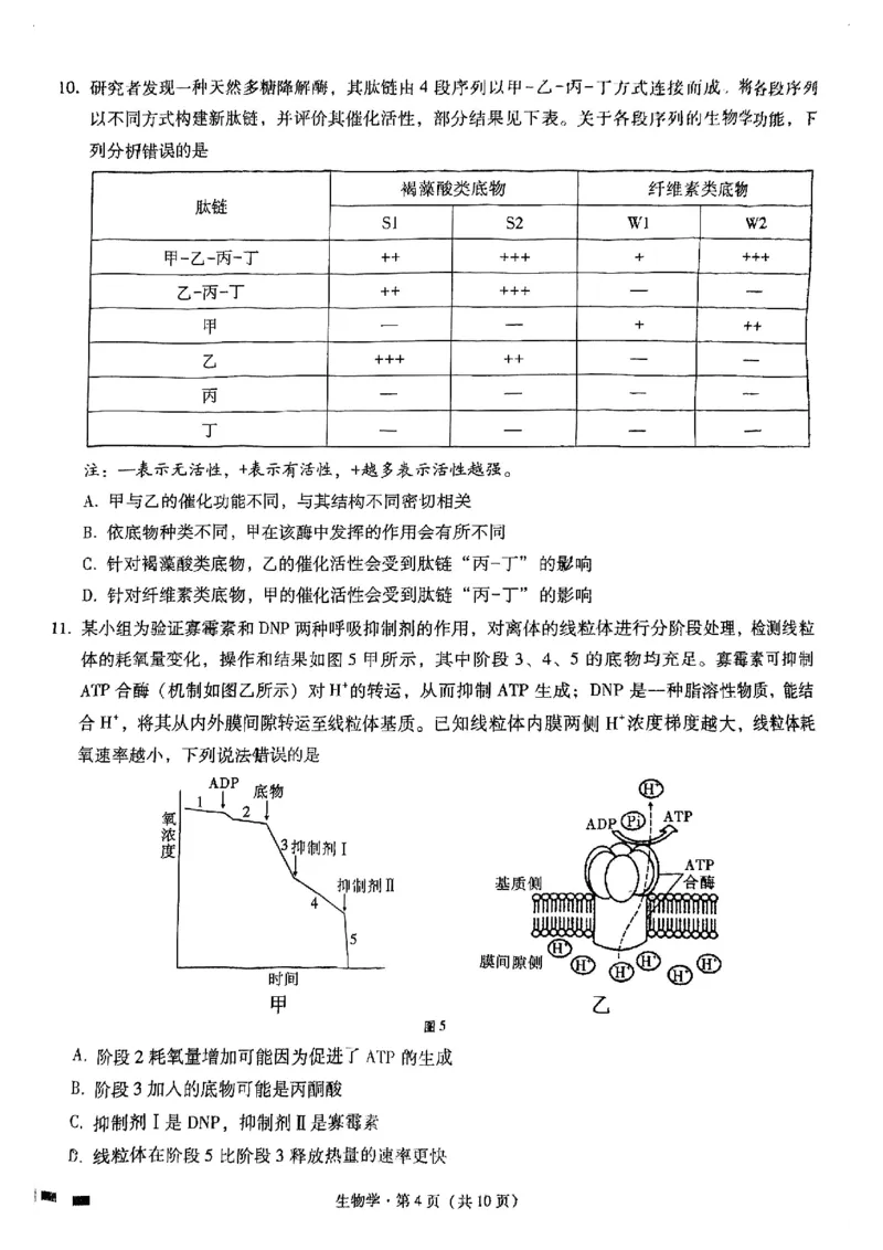 重庆市巴蜀中学2025届高考适应性月考卷（一）生物+答案_2024-2025高三（6-6月题库）_2024年09月试卷_0922重庆市巴蜀中学2024-2025学年高考适应性月考卷（一）
