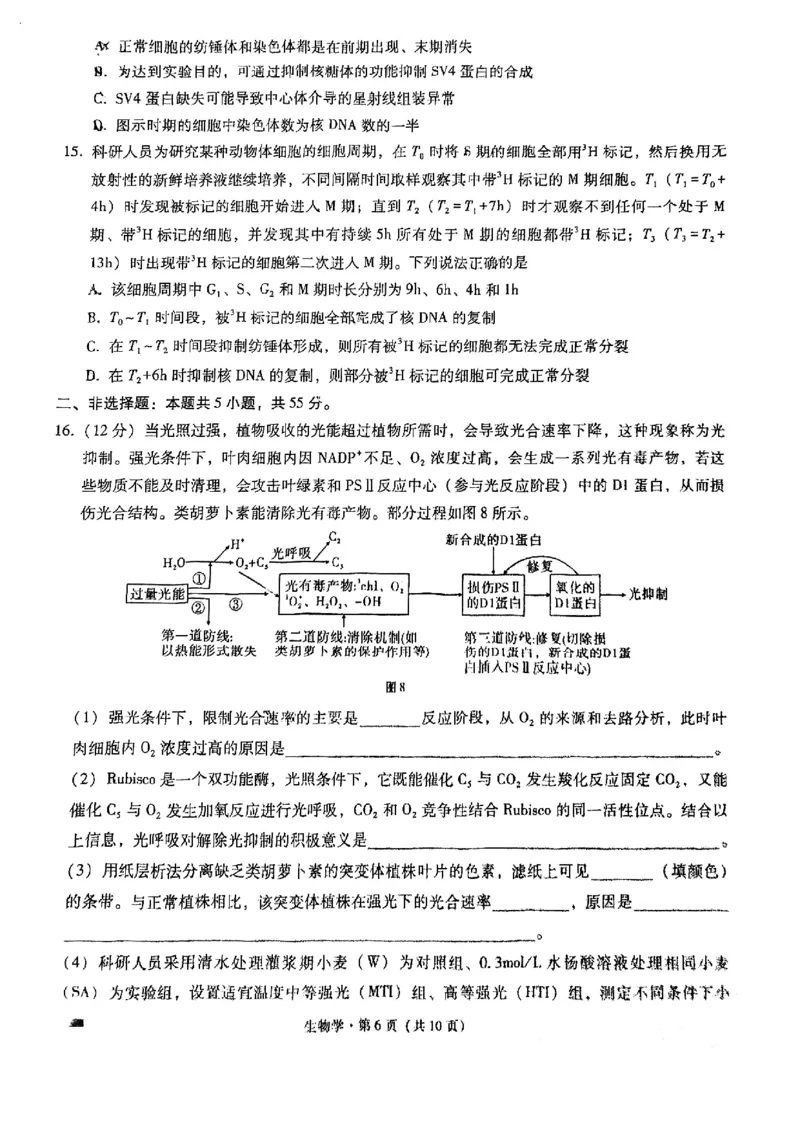 重庆市巴蜀中学2025届高考适应性月考卷（一）生物+答案_2024-2025高三（6-6月题库）_2024年09月试卷_0922重庆市巴蜀中学2024-2025学年高考适应性月考卷（一）