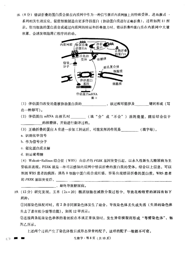 重庆市巴蜀中学2025届高考适应性月考卷（一）生物+答案_2024-2025高三（6-6月题库）_2024年09月试卷_0922重庆市巴蜀中学2024-2025学年高考适应性月考卷（一）