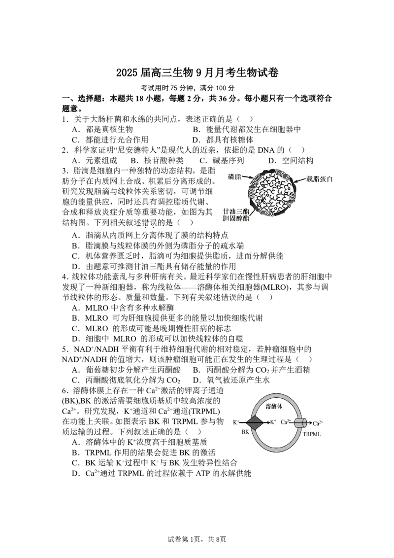 湖北省宜城市第一中学2024-2025学年高三上学期9月月考生物试卷_2024-2025高三（6-6月题库）_2024年09月试卷_0925湖北省宜城市第一中学2024-2025学年高三上学期9月月考