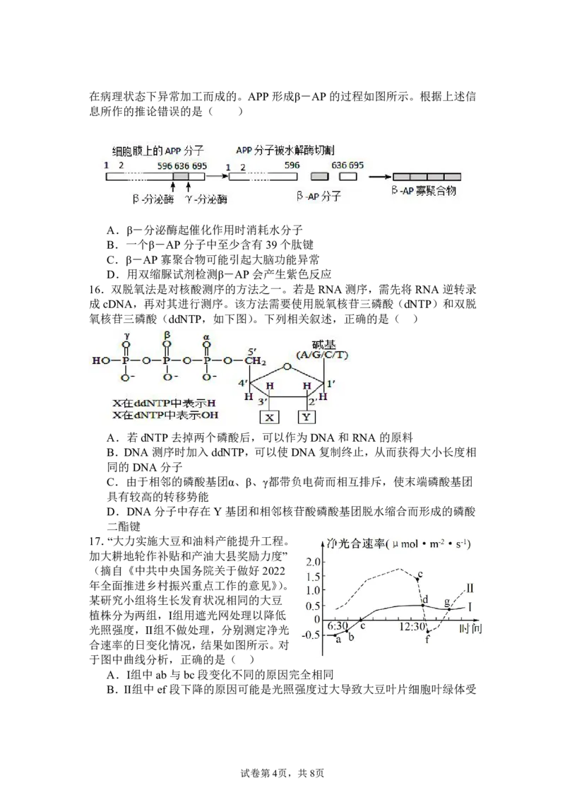 湖北省宜城市第一中学2024-2025学年高三上学期9月月考生物试卷_2024-2025高三（6-6月题库）_2024年09月试卷_0925湖北省宜城市第一中学2024-2025学年高三上学期9月月考