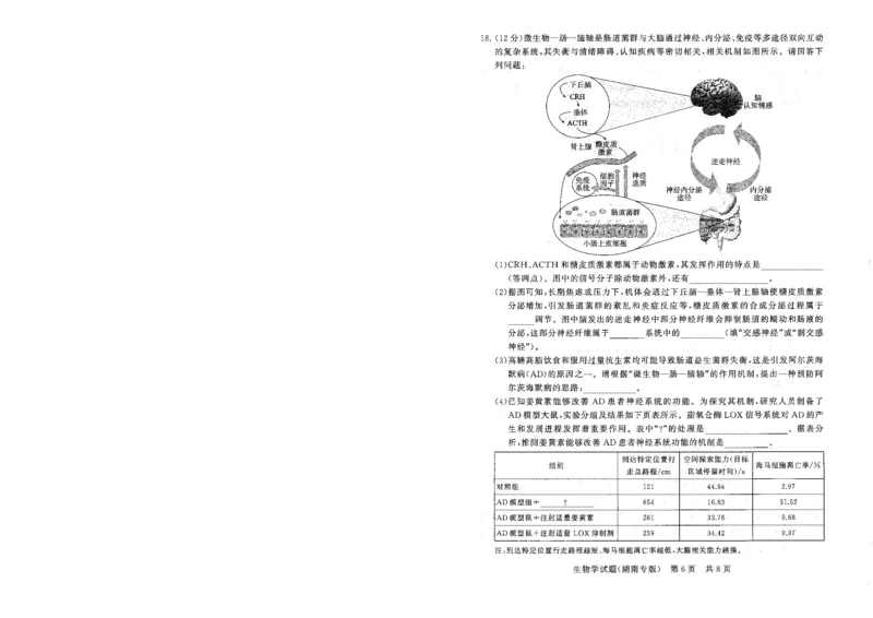 T8联考2026届高三年级12月检测训练生物(湖南)_2024-2026高三（6-6月题库）_2025年12月高三试卷_2512252026届高三第一次学业质量评价联考（T8八省联考）（全科）_选科[湖南专版]（全）
