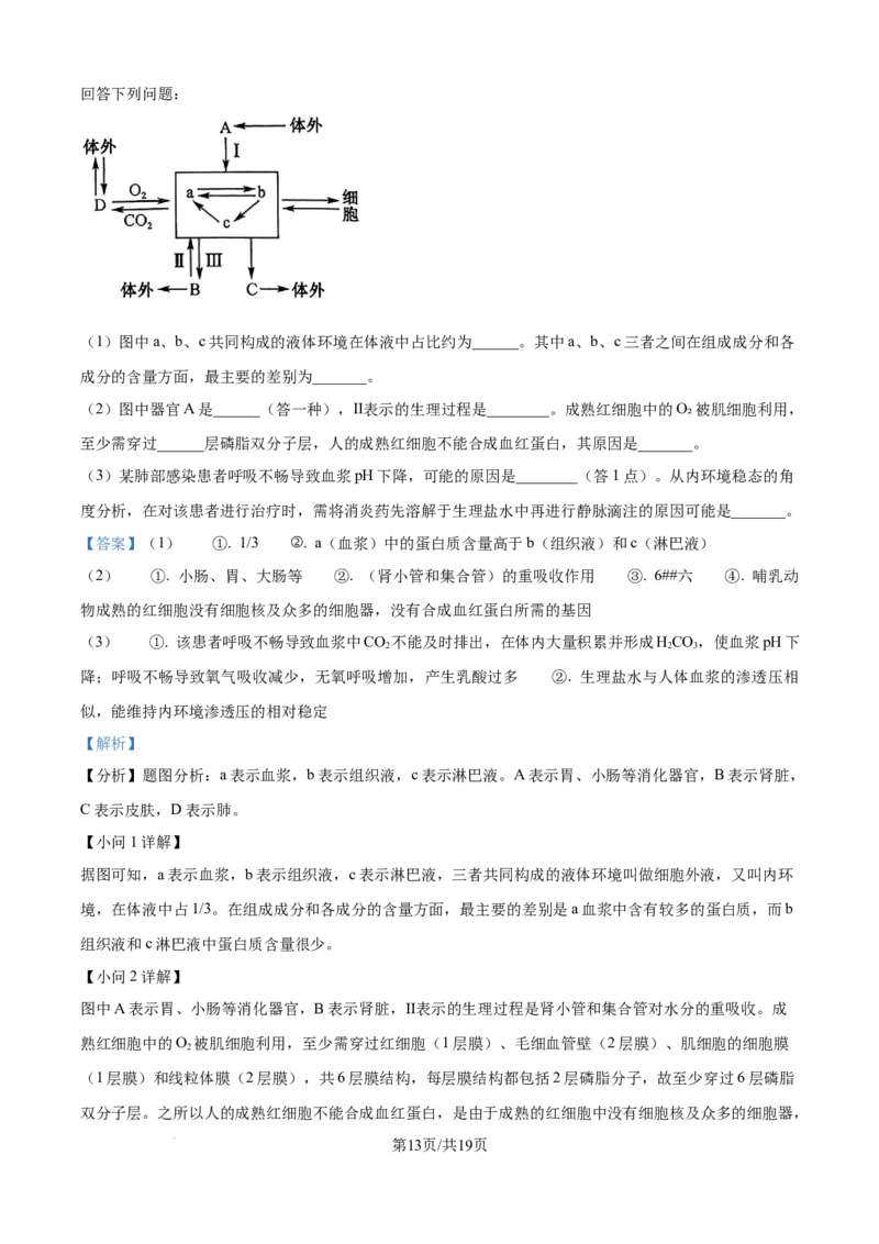 精品解析：吉林省四平市铁西区四平市实验中学2025-2026学年高二上学期9月月考生物试题（解析版）_2025年10月高二试卷_251010吉林省四平市实验中学2025-2026学年高二上学期9月月考