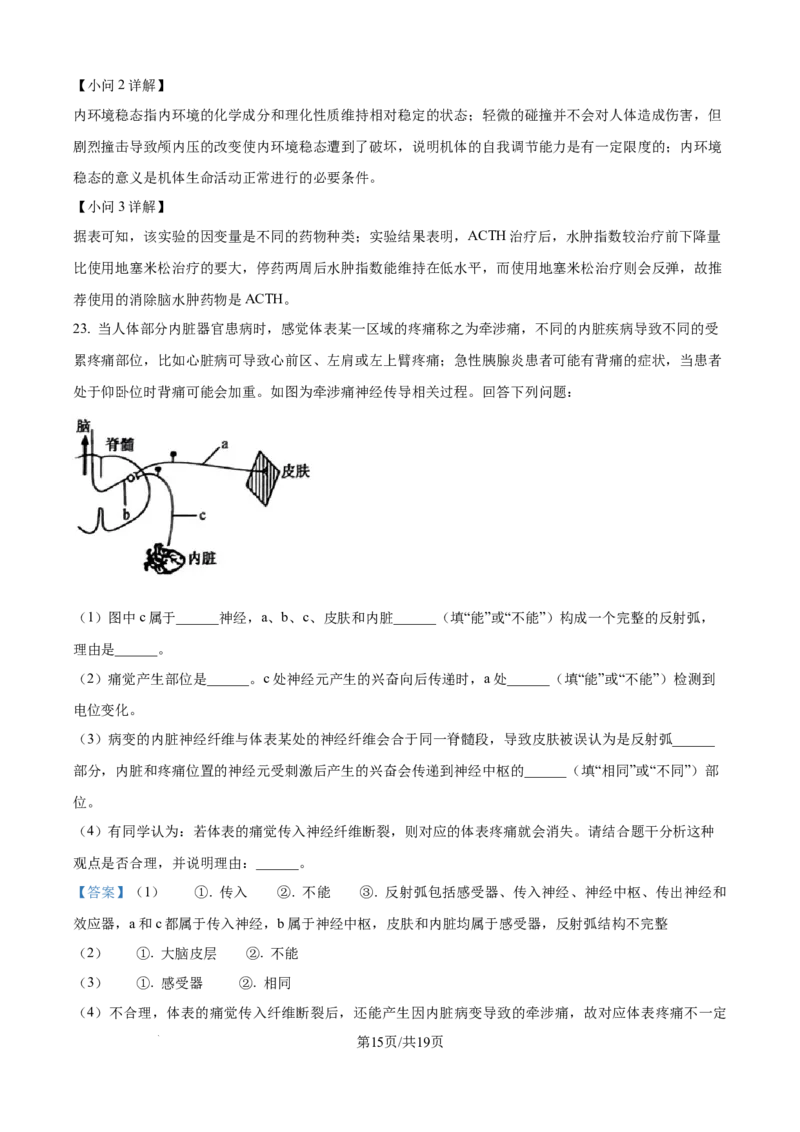 精品解析：吉林省四平市铁西区四平市实验中学2025-2026学年高二上学期9月月考生物试题（解析版）_2025年10月高二试卷_251010吉林省四平市实验中学2025-2026学年高二上学期9月月考