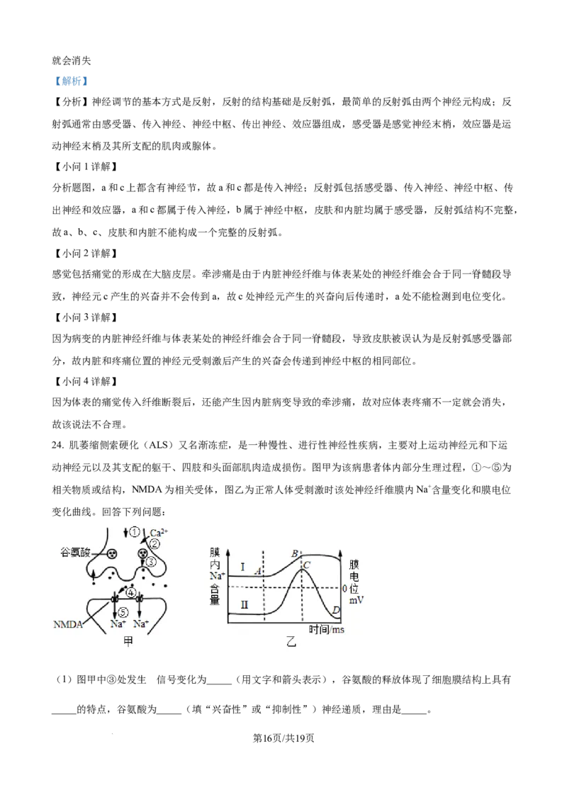 精品解析：吉林省四平市铁西区四平市实验中学2025-2026学年高二上学期9月月考生物试题（解析版）_2025年10月高二试卷_251010吉林省四平市实验中学2025-2026学年高二上学期9月月考