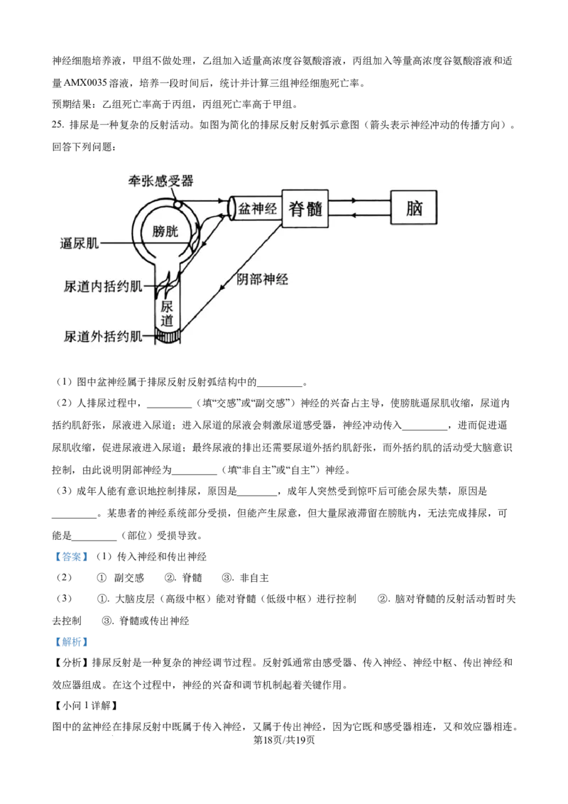 精品解析：吉林省四平市铁西区四平市实验中学2025-2026学年高二上学期9月月考生物试题（解析版）_2025年10月高二试卷_251010吉林省四平市实验中学2025-2026学年高二上学期9月月考