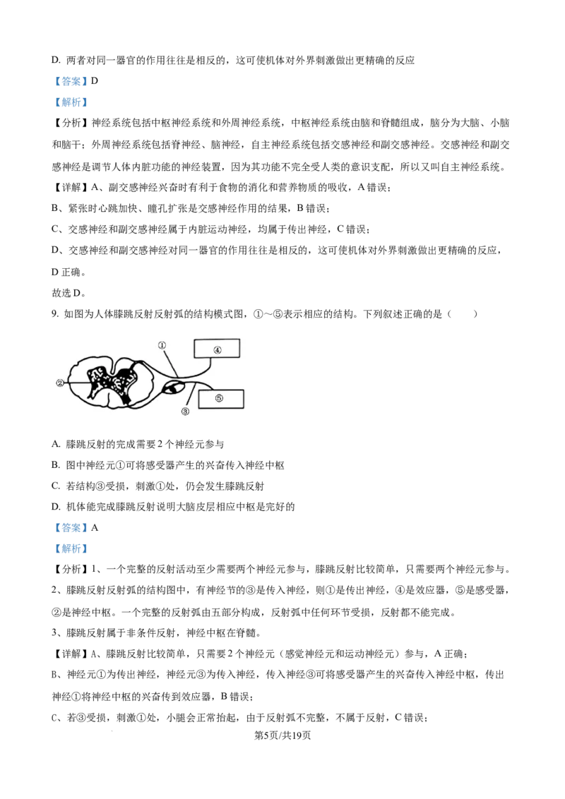 精品解析：吉林省四平市铁西区四平市实验中学2025-2026学年高二上学期9月月考生物试题（解析版）_2025年10月高二试卷_251010吉林省四平市实验中学2025-2026学年高二上学期9月月考