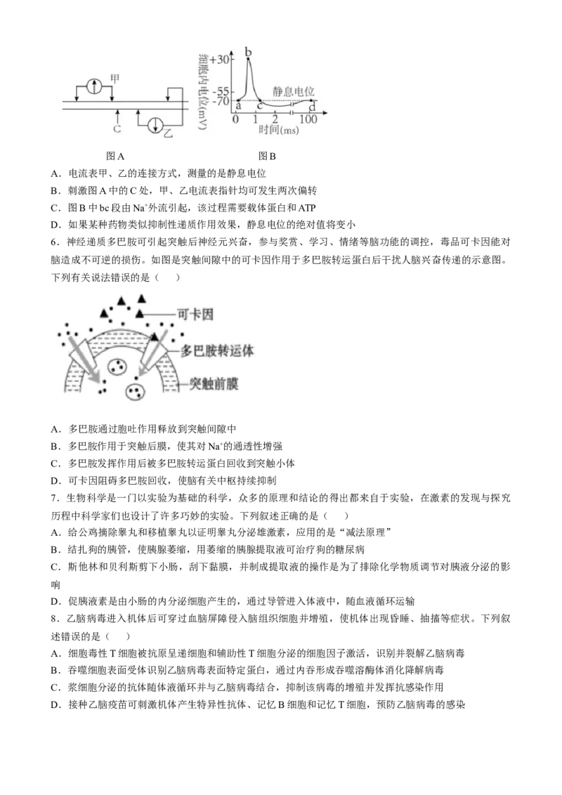 甘肃省兰州第一中学2024-2025学年高二上学期期末考试生物Word版含答案_2024-2025高二（7-7月题库）_2025年02月试卷_0223甘肃省兰州第一中学2024-2025学年高二上学期期末考试