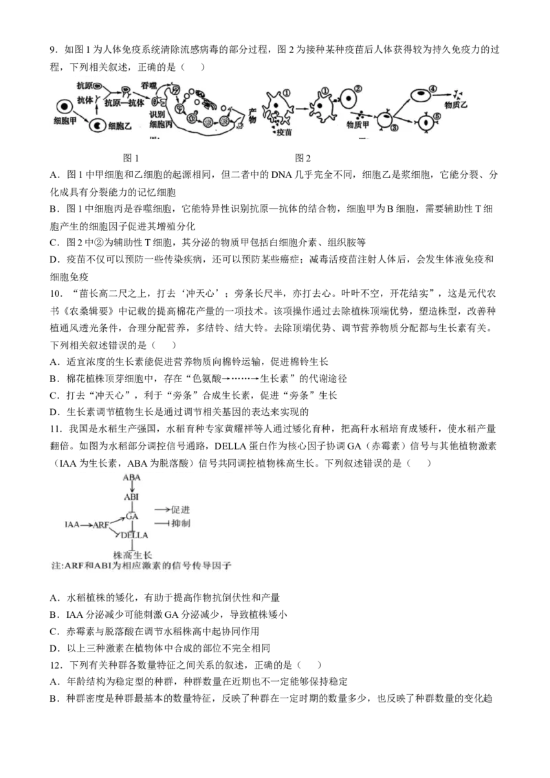 甘肃省兰州第一中学2024-2025学年高二上学期期末考试生物Word版含答案_2024-2025高二（7-7月题库）_2025年02月试卷_0223甘肃省兰州第一中学2024-2025学年高二上学期期末考试