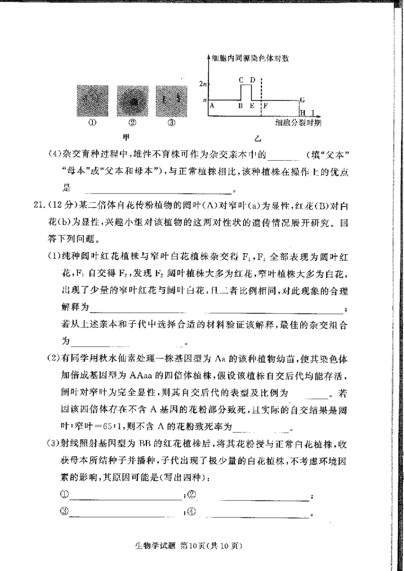 生物(1)_2024-2025高三（6-6月题库）_2024年11月试卷_11092025届湘豫名校联考高三上学期11月一轮诊断考试_湘豫名校联考2024-2025学年高三上学期11月诊断考试生物试题