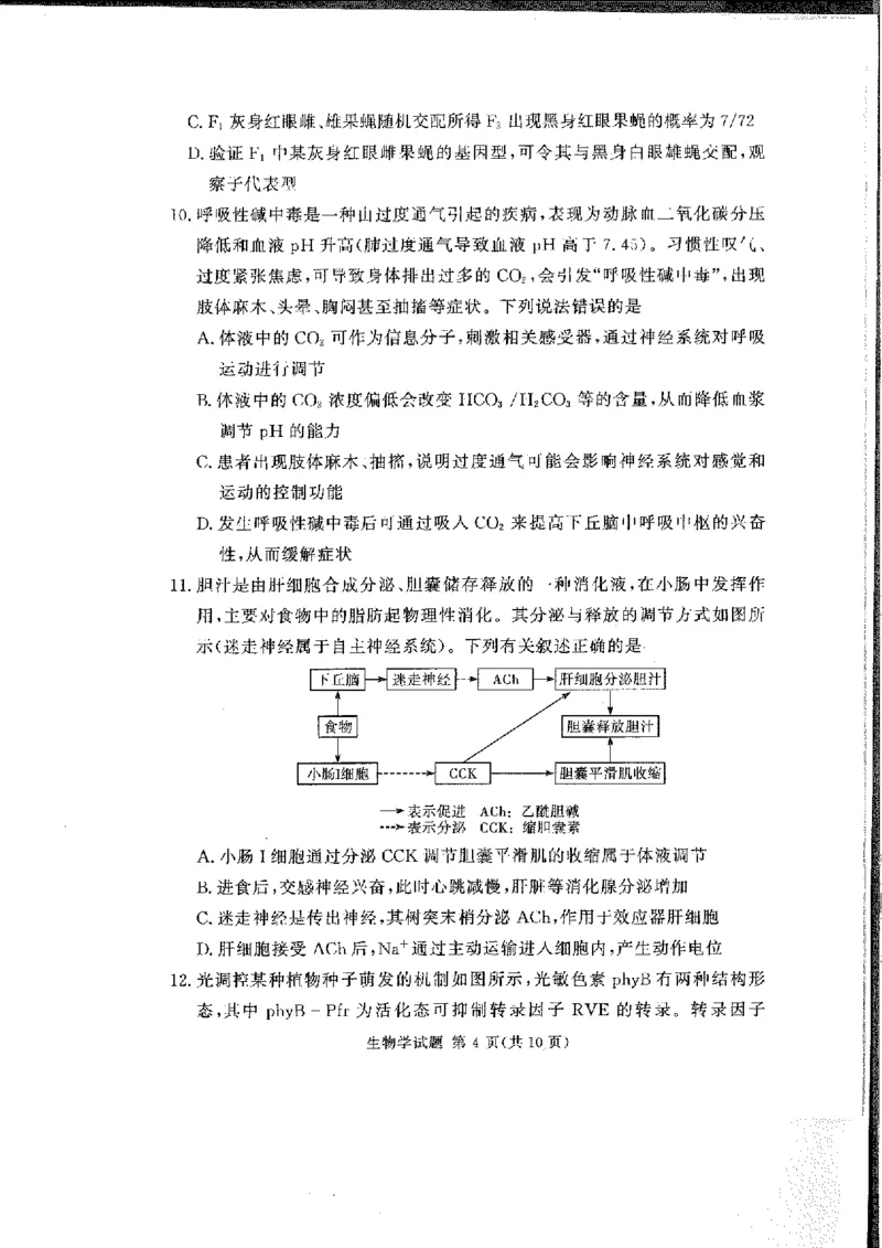 生物(1)_2024-2025高三（6-6月题库）_2024年11月试卷_11092025届湘豫名校联考高三上学期11月一轮诊断考试_湘豫名校联考2024-2025学年高三上学期11月诊断考试生物试题