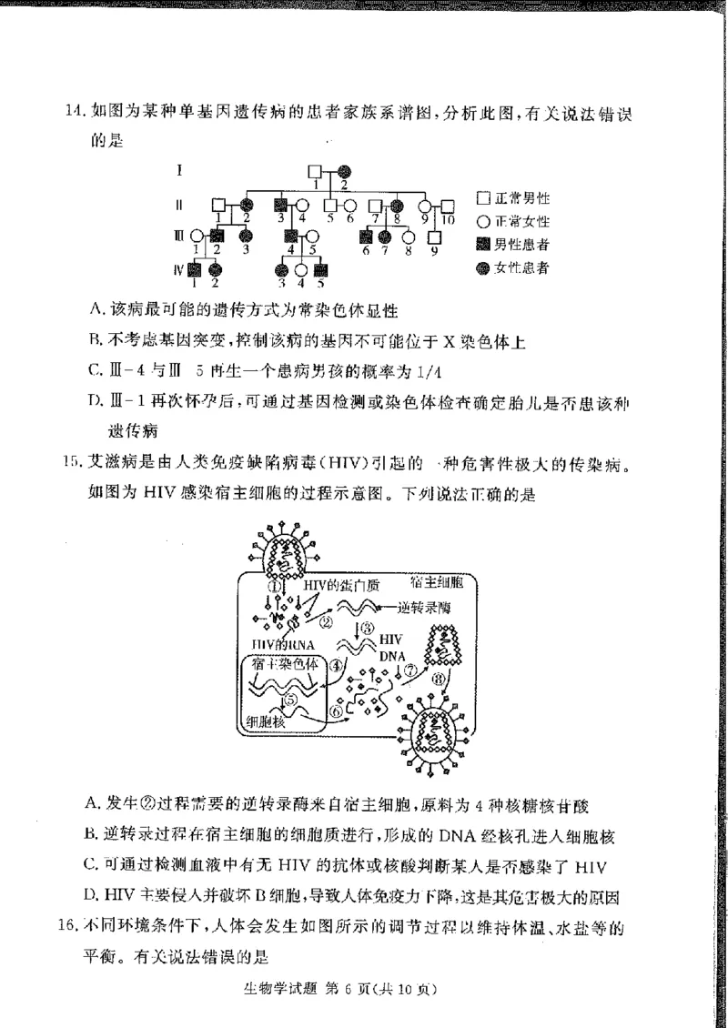 生物(1)_2024-2025高三（6-6月题库）_2024年11月试卷_11092025届湘豫名校联考高三上学期11月一轮诊断考试_湘豫名校联考2024-2025学年高三上学期11月诊断考试生物试题