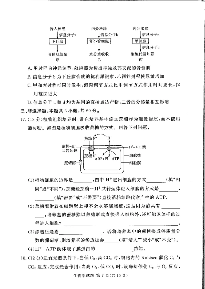 生物(1)_2024-2025高三（6-6月题库）_2024年11月试卷_11092025届湘豫名校联考高三上学期11月一轮诊断考试_湘豫名校联考2024-2025学年高三上学期11月诊断考试生物试题