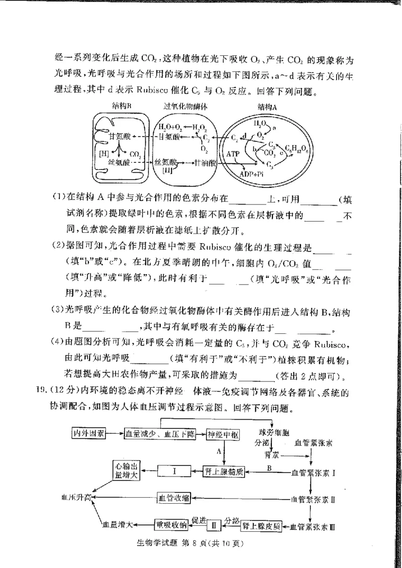 生物(1)_2024-2025高三（6-6月题库）_2024年11月试卷_11092025届湘豫名校联考高三上学期11月一轮诊断考试_湘豫名校联考2024-2025学年高三上学期11月诊断考试生物试题