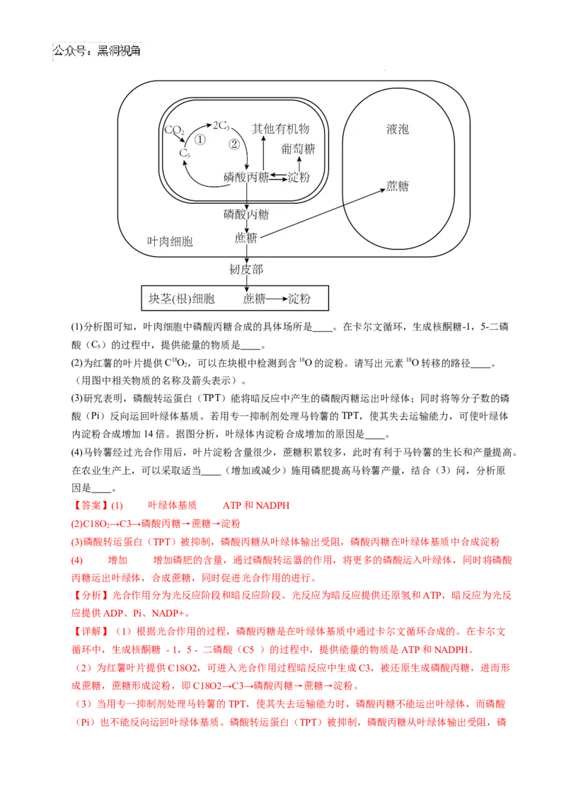 生物考前猜想卷02（全解全析）_2024-2025高三（6-6月题库）_2024年12月试卷_12072025届&ldquo;八省联考&rdquo;考前猜想卷_生物（16+5）-2025年1月&ldquo;八省联考&rdquo;考前猜想卷