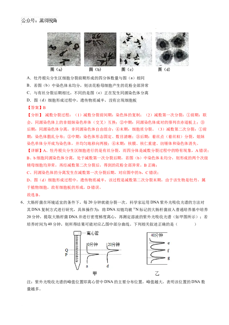 生物考前猜想卷02（全解全析）_2024-2025高三（6-6月题库）_2024年12月试卷_12072025届&ldquo;八省联考&rdquo;考前猜想卷_生物（16+5）-2025年1月&ldquo;八省联考&rdquo;考前猜想卷