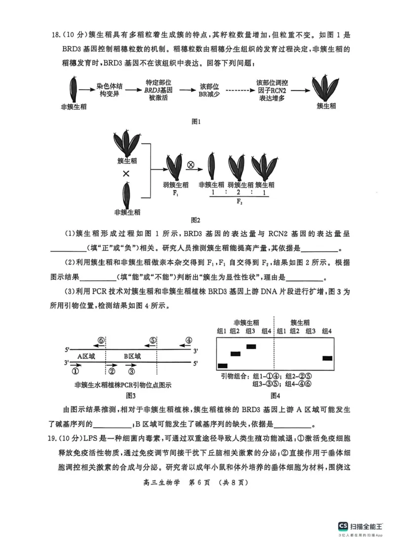 河南省开封市2026届高三年级第一次质量检测生物试题卷+答案_2024-2025高三（6-6月题库）_2026年1月高三_260108河南省开封市2026届高三年级第一次质量检测（全科）