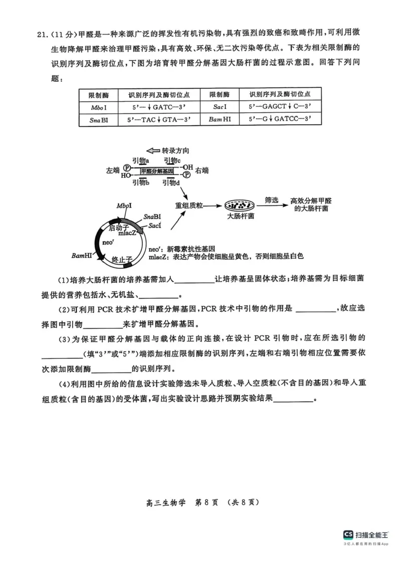 河南省开封市2026届高三年级第一次质量检测生物试题卷+答案_2024-2025高三（6-6月题库）_2026年1月高三_260108河南省开封市2026届高三年级第一次质量检测（全科）