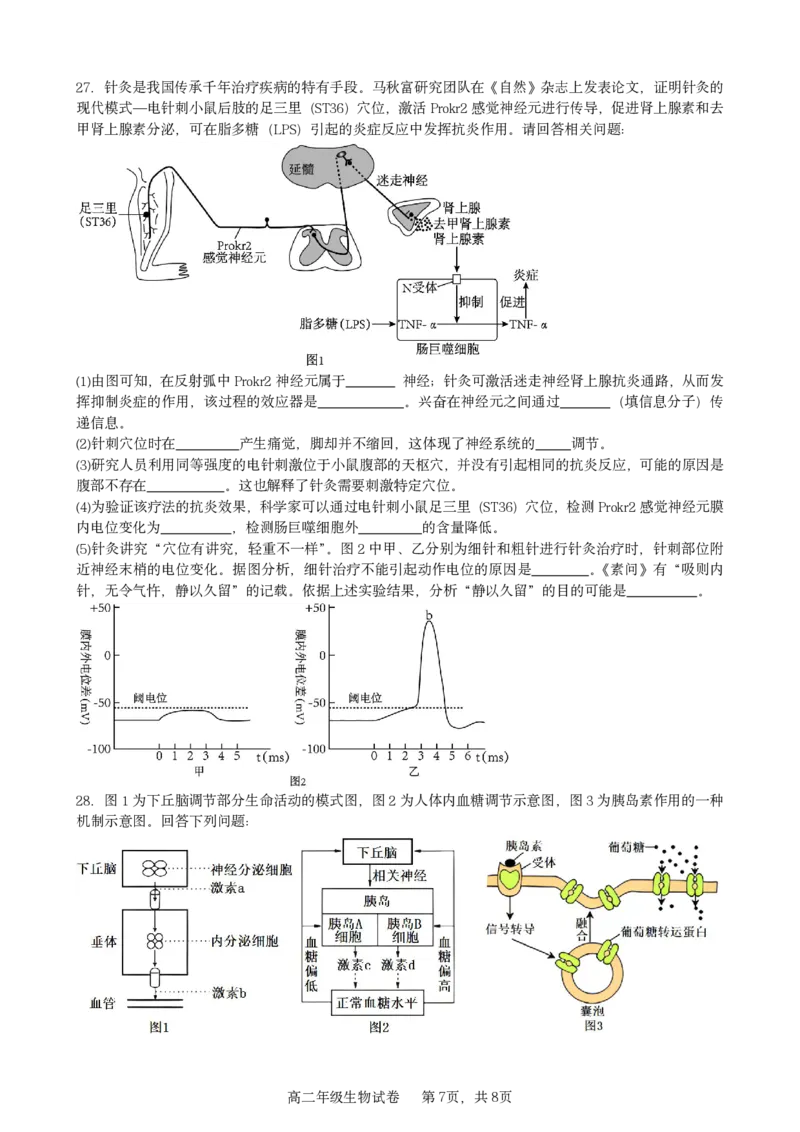 生物试卷_2025年11月高二试卷_251128安徽合肥市六校联盟2025年秋季学期高二期中考试（全）
