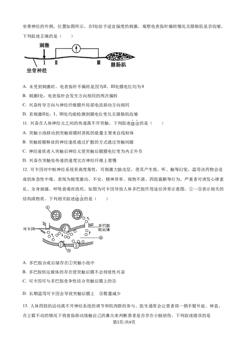 精品解析：吉林省四平市铁西区四平市实验中学2025-2026学年高二上学期9月月考生物试题（原卷版）_2025年10月高二试卷_251010吉林省四平市实验中学2025-2026学年高二上学期9月月考