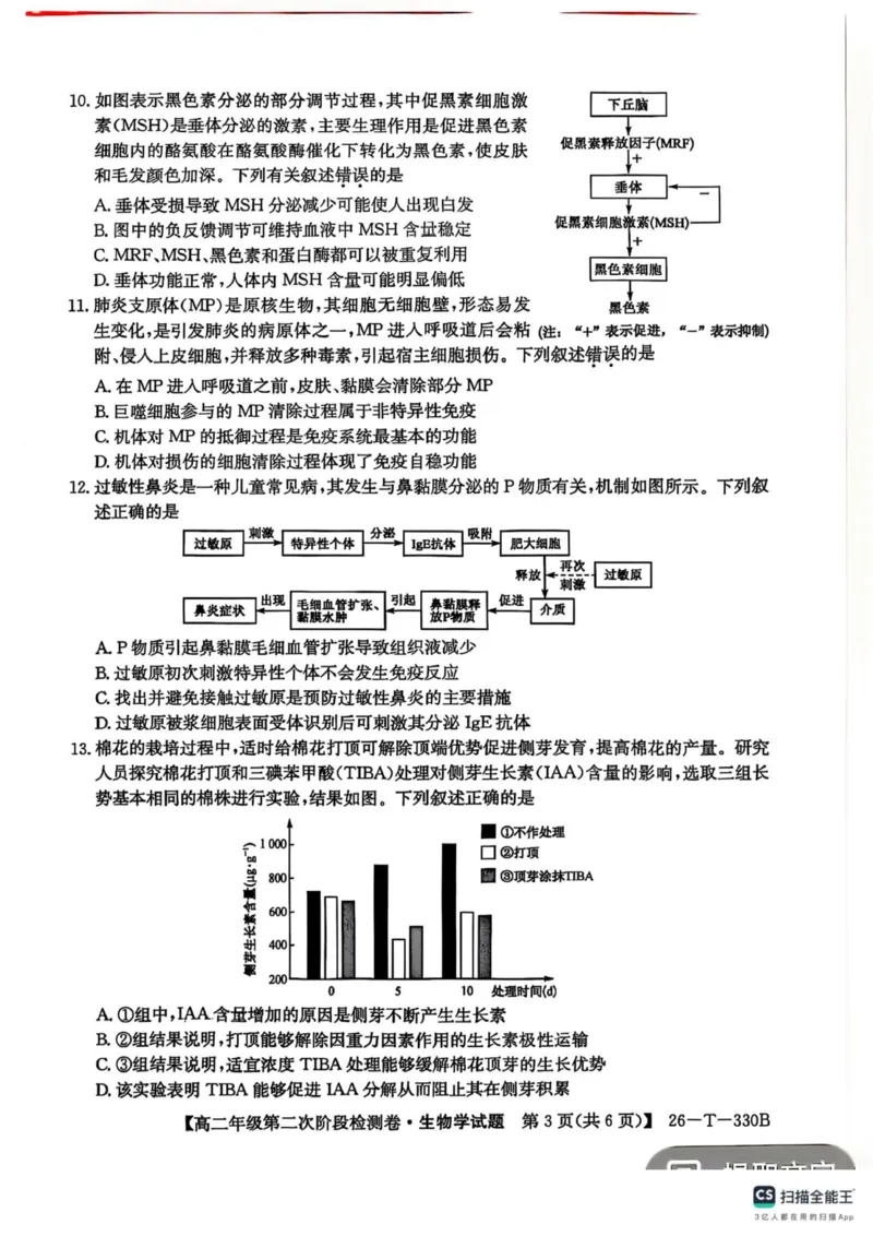 陕西省榆林市榆阳区2025-2026学年高二上学期12月期中生物试题（PDF版，含解析）_251214陕西省榆林市榆阳区2025-2026学年高二上学期12月期中（全）