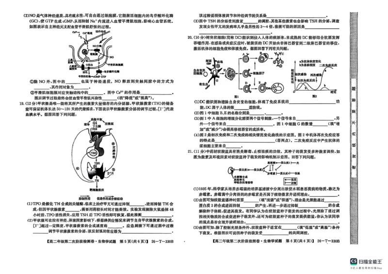 陕西省榆林市榆阳区2025-2026学年高二上学期12月期中生物试题（PDF版，含解析）_251214陕西省榆林市榆阳区2025-2026学年高二上学期12月期中（全）