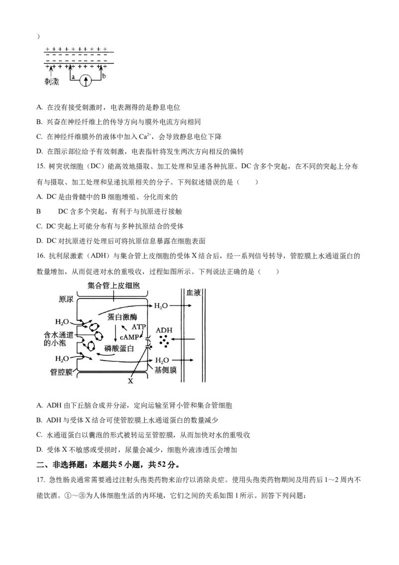 青海省海南州2024-2025学年高二上学期期中质量检测生物试题Word版无答案_2024-2025高二（7-7月题库）_2024年12月试卷_1213青海省海南州2024-2025学年高二上学期期中考试