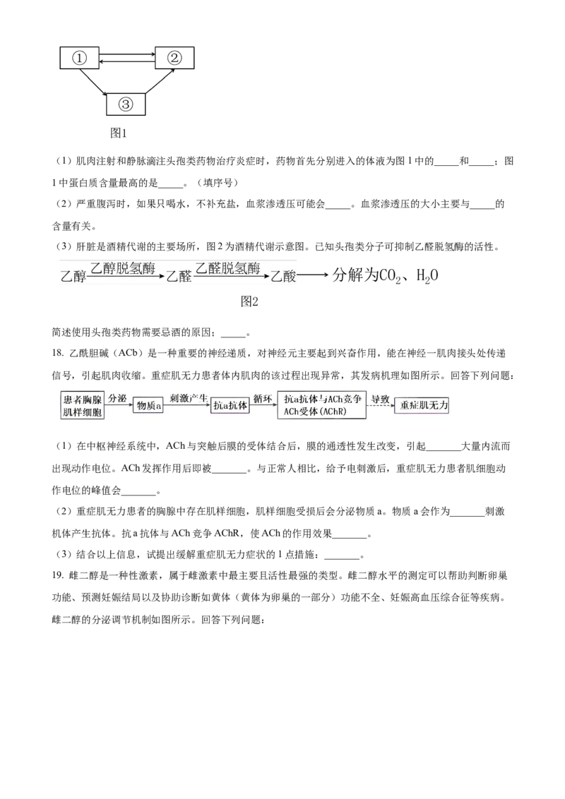 青海省海南州2024-2025学年高二上学期期中质量检测生物试题Word版无答案_2024-2025高二（7-7月题库）_2024年12月试卷_1213青海省海南州2024-2025学年高二上学期期中考试