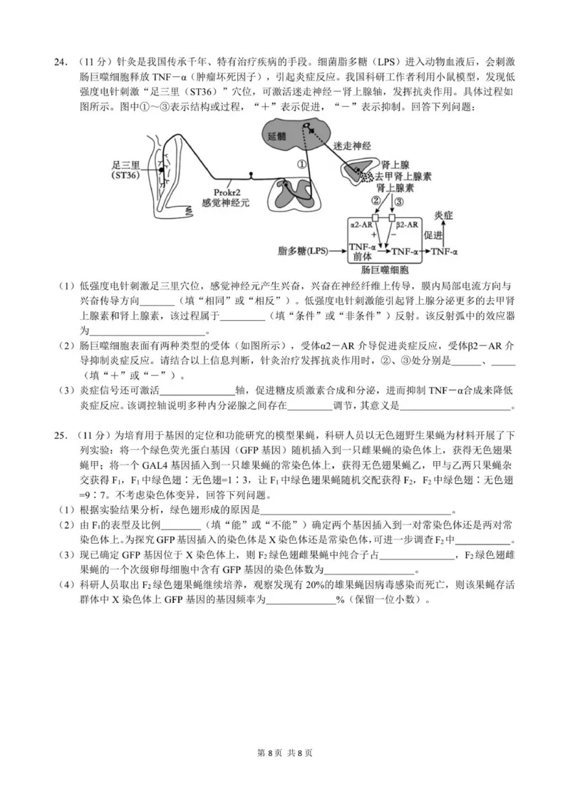 终稿12.5_251220重庆市第一中学校2025-2026学年高二上学期12月期中考试_重庆市第一中学校2025-2026学年高二上学期12月期中生物试题（图片版，含答案）
