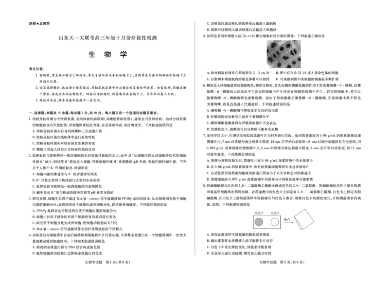 生物山东高三年级十月份阶段性检测_2024-2026高三（6-6月题库）_2025年10月高三试卷_251011天一大联考&middot;山东省2026届高三年级十月份阶段性检测（全科）