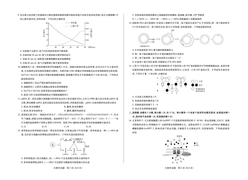 生物山东高三年级十月份阶段性检测_2024-2026高三（6-6月题库）_2025年10月高三试卷_251011天一大联考&middot;山东省2026届高三年级十月份阶段性检测（全科）