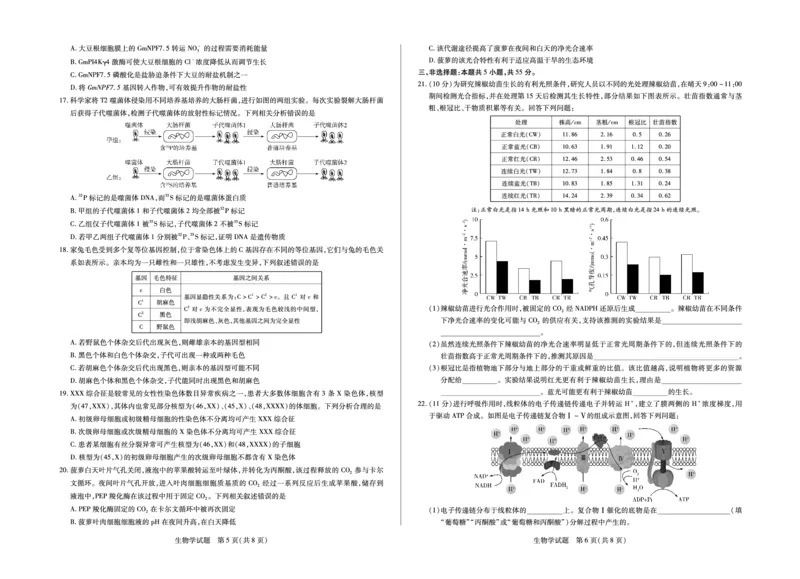 生物山东高三年级十月份阶段性检测_2024-2026高三（6-6月题库）_2025年10月高三试卷_251011天一大联考&middot;山东省2026届高三年级十月份阶段性检测（全科）