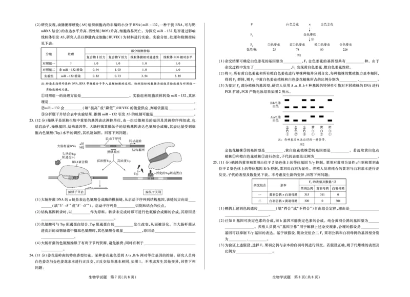 生物山东高三年级十月份阶段性检测_2024-2026高三（6-6月题库）_2025年10月高三试卷_251011天一大联考&middot;山东省2026届高三年级十月份阶段性检测（全科）