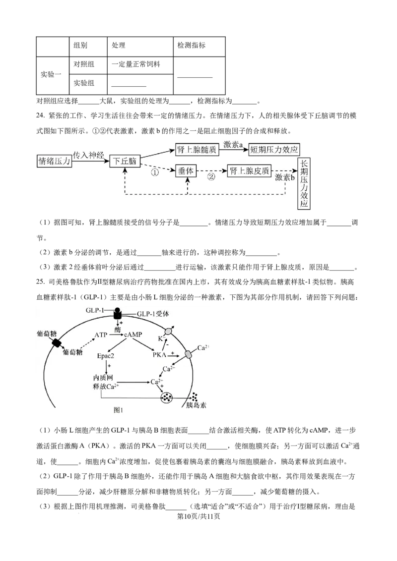 精品解析：山东省济宁市第一中学2025-2026学年高二上学期10月月考生物试题（原卷版）_2025年10月高二试卷_251030山东省济宁市第一中学2025-2026学年高二上学期10月月考（全）