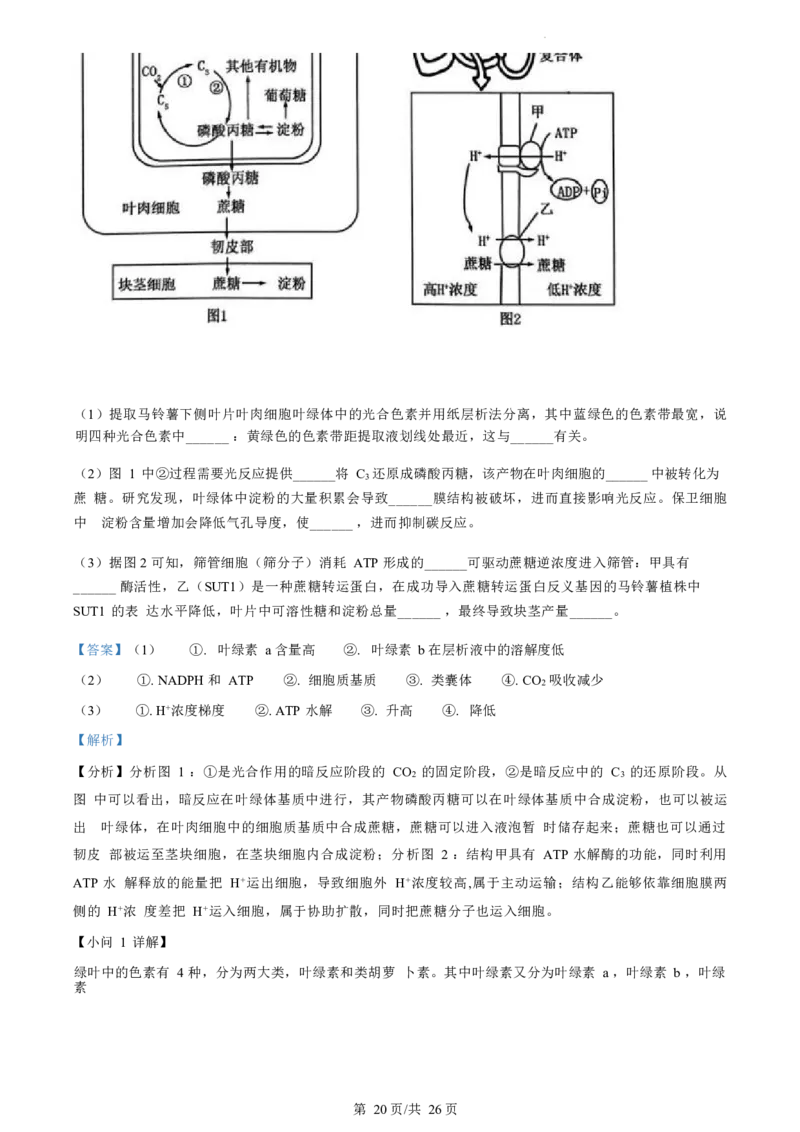 生物试题（解析版）_2024-2025高三（6-6月题库）_2024年07月试卷_240701浙江省绍兴市2023-2024学年高二下学期6月期末调测考试_浙江省绍兴市2023-2024学年高二下学期6月期末调测考试生物