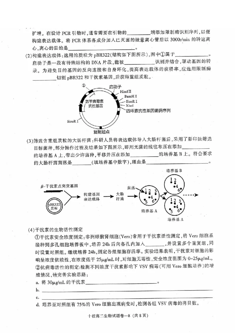 生物卷-2406金华十校高二期末_2024-2025高二（7-7月题库）_2024年07月试卷_0707浙江省金华十校2023-2024学年第二学期高二期末调研考试_金华十校2023-2024学年第二学期高二期末调研考试生物