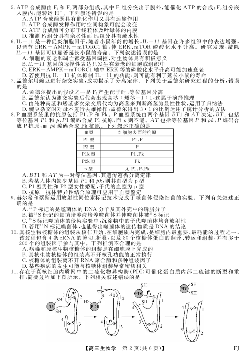 福建省泉州市安溪县2024-2025学年高三上学期11月期中生物试题_2024-2025高三（6-6月题库）_2024年11月试卷_1121福建省2024-2025学年金科大联考高三11月测评（全科）