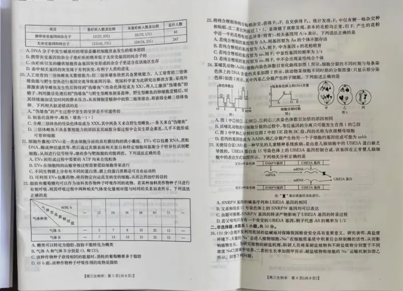 生物_2024-2025高三（6-6月题库）_2024年11月试卷_1102新疆维吾尔自治区金太阳2024-2025学年高三上学期10月期中考试_241102新疆2025届高三金太阳10月联考_试卷