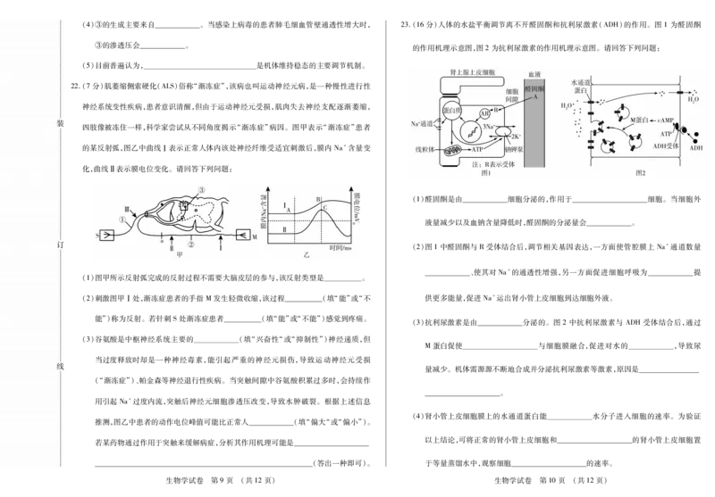 新时代高中教育联合体2025年11月高二学年期中联考巩固卷（二）生物_2025年11月高二试卷_251115黑龙江省新时代高中教育联合体2025年11月高二学年期中联考巩固卷（二）（全）