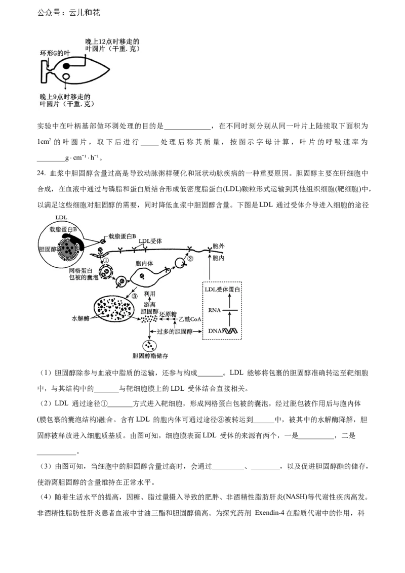 辽宁省本溪市县级重点高中协作体2023-2024学年高二下学期7月期末考试生物Word版含解析_2024-2025高二（7-7月题库）_2024年08月试卷
