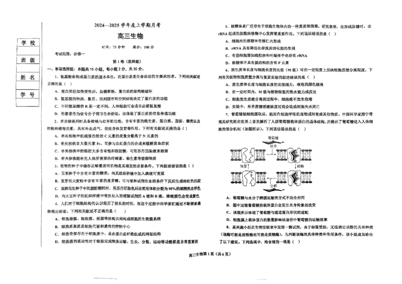 辽宁省辽东南协作体2024-2025学年高三上学期10月月考试题生物PDF版含答案_2024-2025高三（6-6月题库）_2024年10月试卷_1019辽宁省辽东南协作体2024-2025学年高三上学期10月月考
