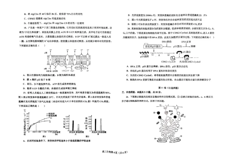 辽宁省辽东南协作体2024-2025学年高三上学期10月月考试题生物PDF版含答案_2024-2025高三（6-6月题库）_2024年10月试卷_1019辽宁省辽东南协作体2024-2025学年高三上学期10月月考