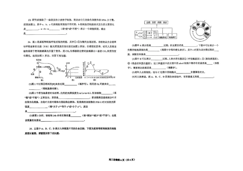 辽宁省辽东南协作体2024-2025学年高三上学期10月月考试题生物PDF版含答案_2024-2025高三（6-6月题库）_2024年10月试卷_1019辽宁省辽东南协作体2024-2025学年高三上学期10月月考