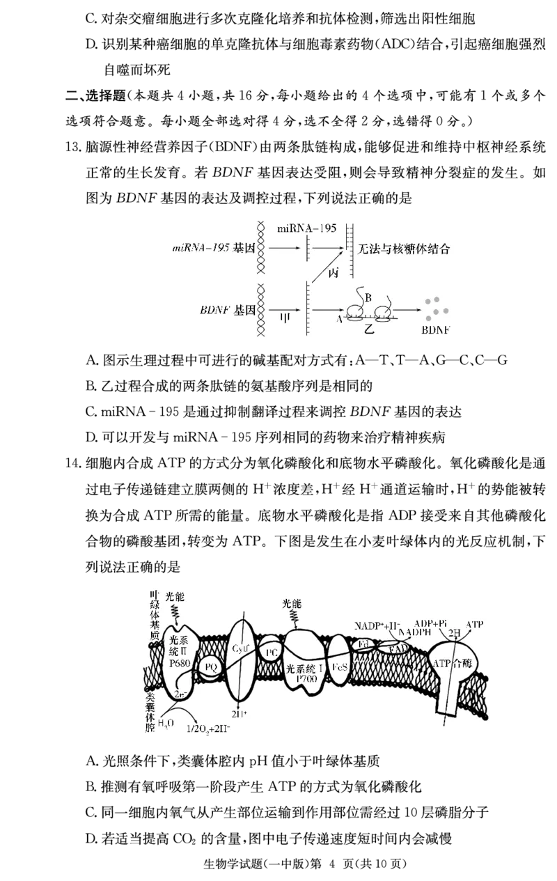 炎德&middot;英才大联考长沙市一中2025届高三月考试卷（六）生物_2024-2025高三（6-6月题库）_2025年02月试卷_0214湖南炎德&middot;英才大联考长沙市一中2025届高三月考试卷（六）