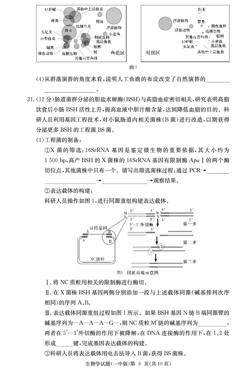 炎德&middot;英才大联考长沙市一中2025届高三月考试卷（六）生物_2024-2025高三（6-6月题库）_2025年02月试卷_0214湖南炎德&middot;英才大联考长沙市一中2025届高三月考试卷（六）