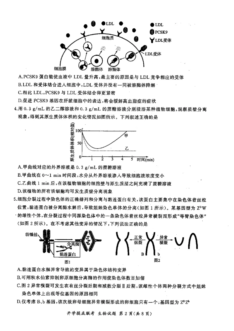 生物-山东省百师联盟高三开学摸底联考_2024-2025高三（6-6月题库）_2024年09月试卷_0907山东省百师联盟2025届高三开学摸底联考