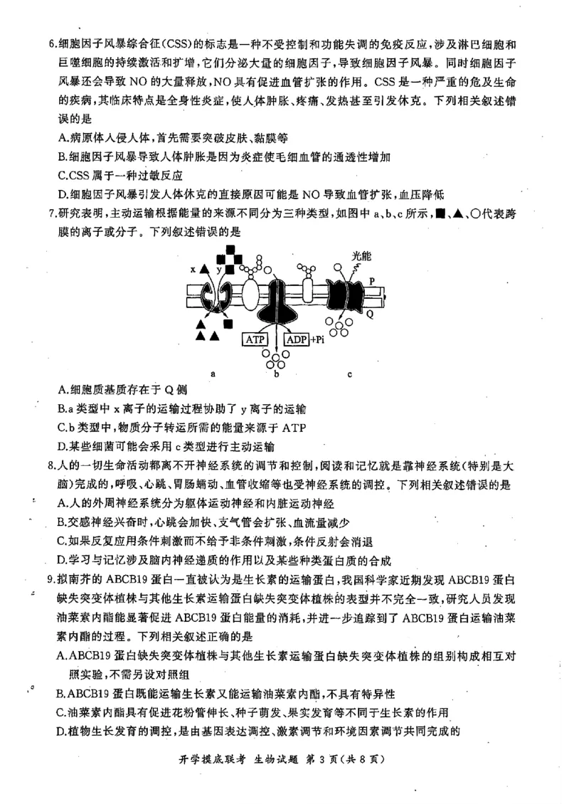 生物-山东省百师联盟高三开学摸底联考_2024-2025高三（6-6月题库）_2024年09月试卷_0907山东省百师联盟2025届高三开学摸底联考