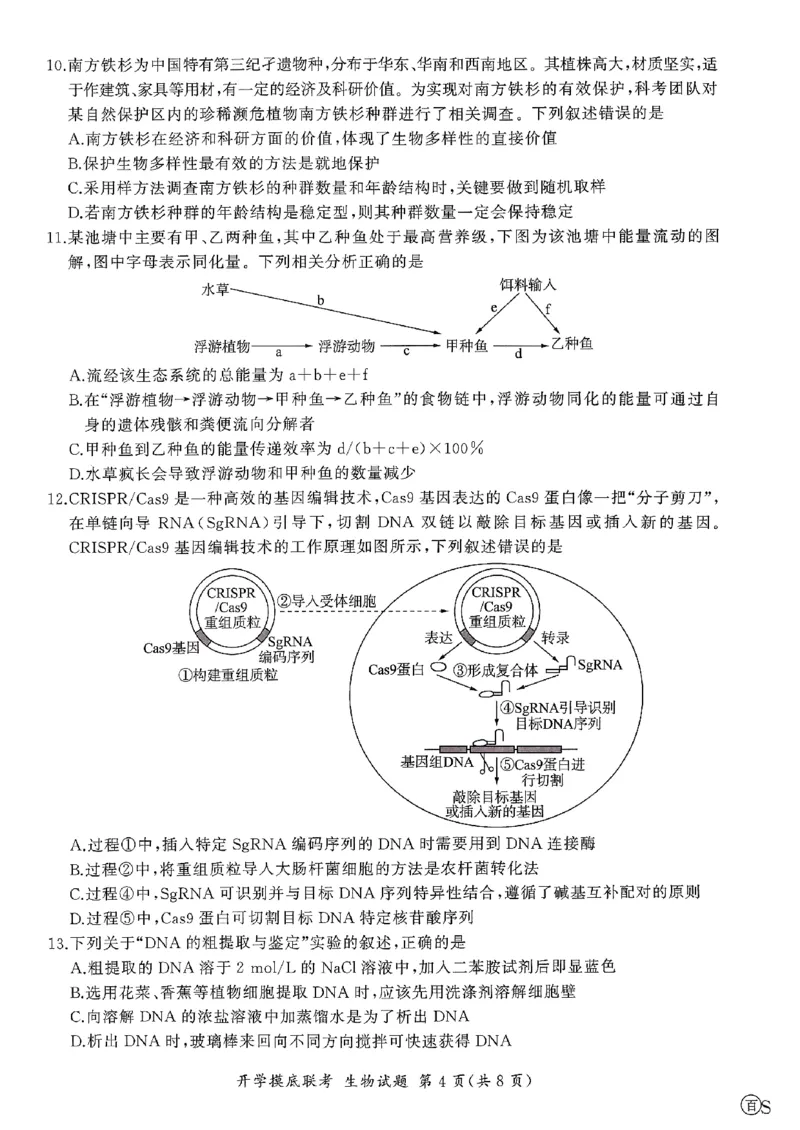 生物-山东省百师联盟高三开学摸底联考_2024-2025高三（6-6月题库）_2024年09月试卷_0907山东省百师联盟2025届高三开学摸底联考